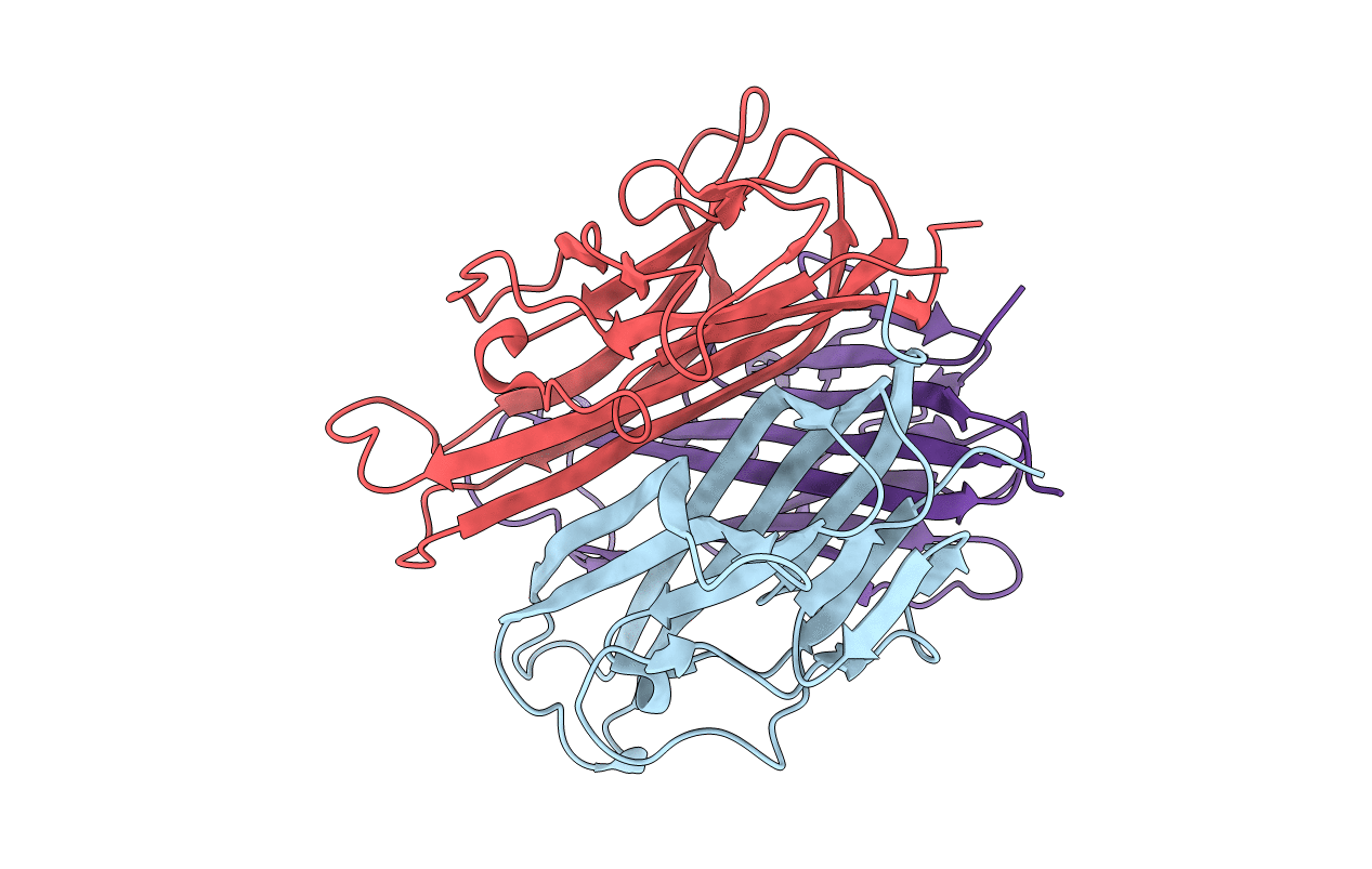1S55 image