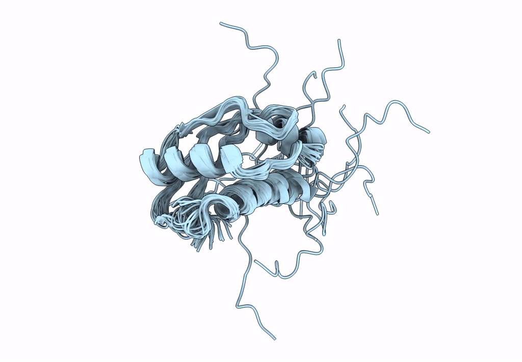 1S62 image