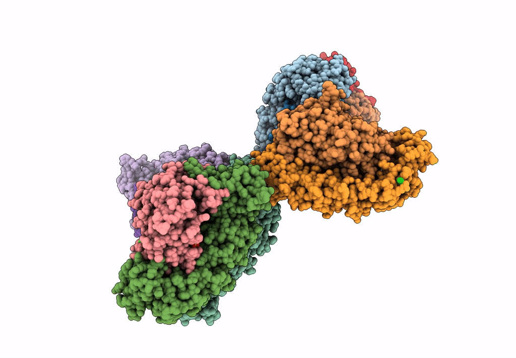 1S64 image