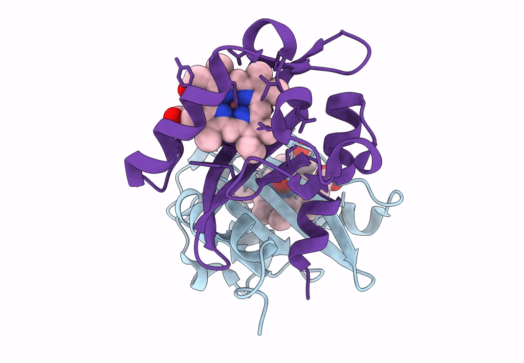 1S67 image