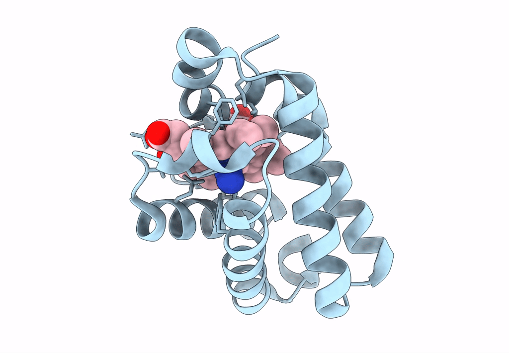 1S6A image