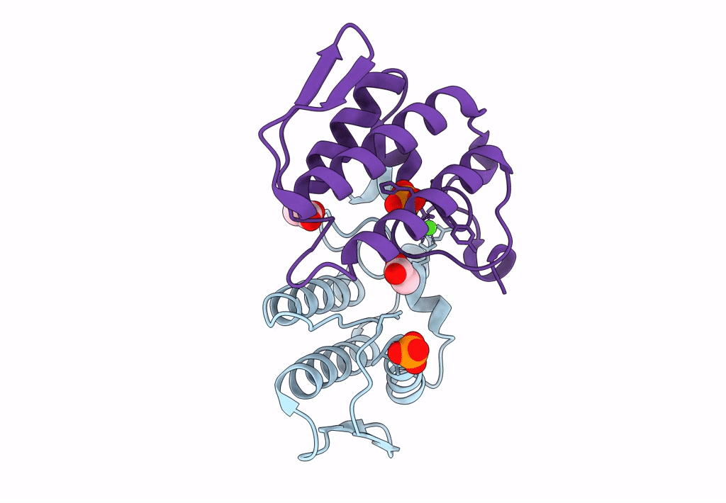1S6B image