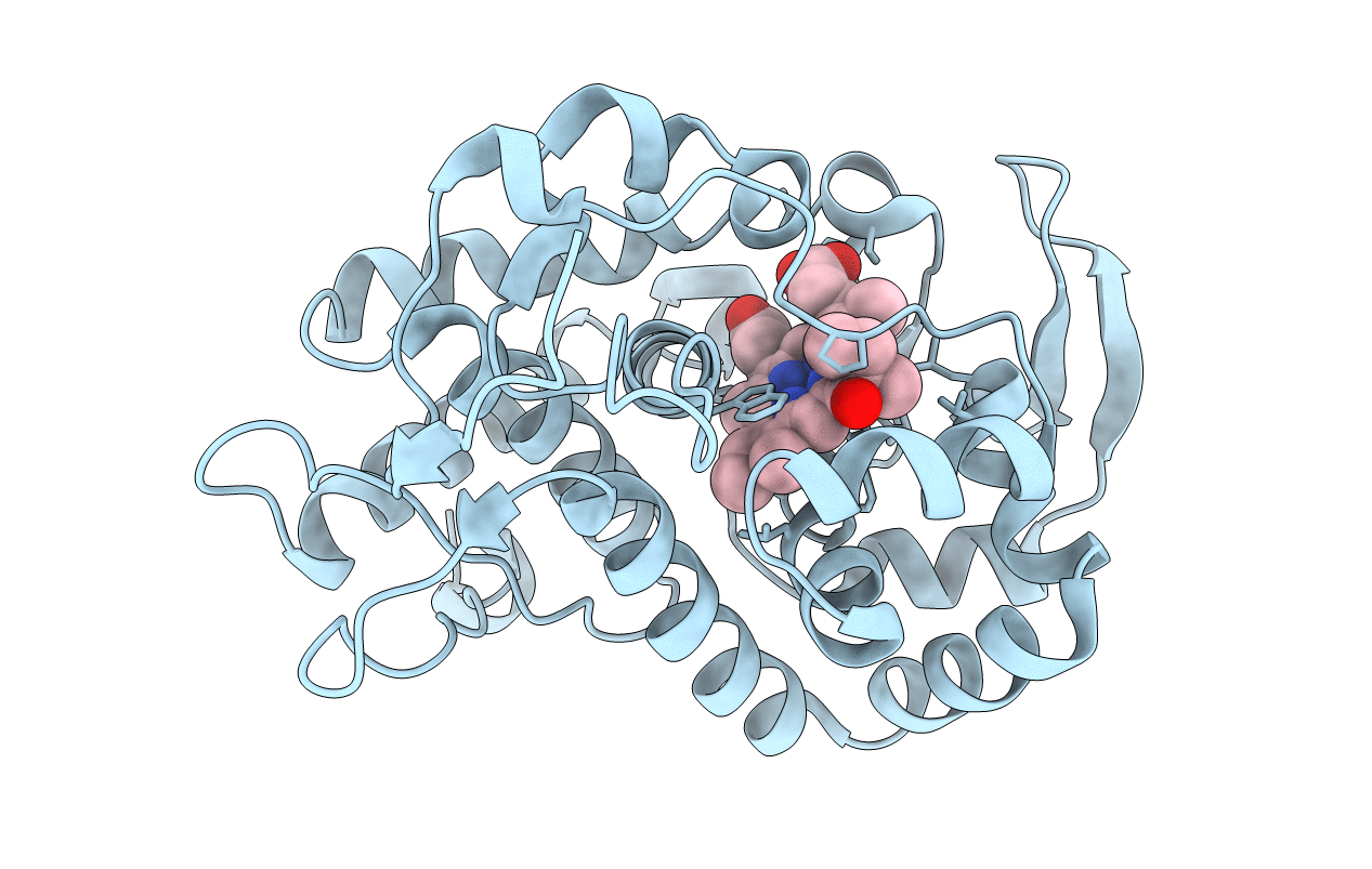 1S73 image