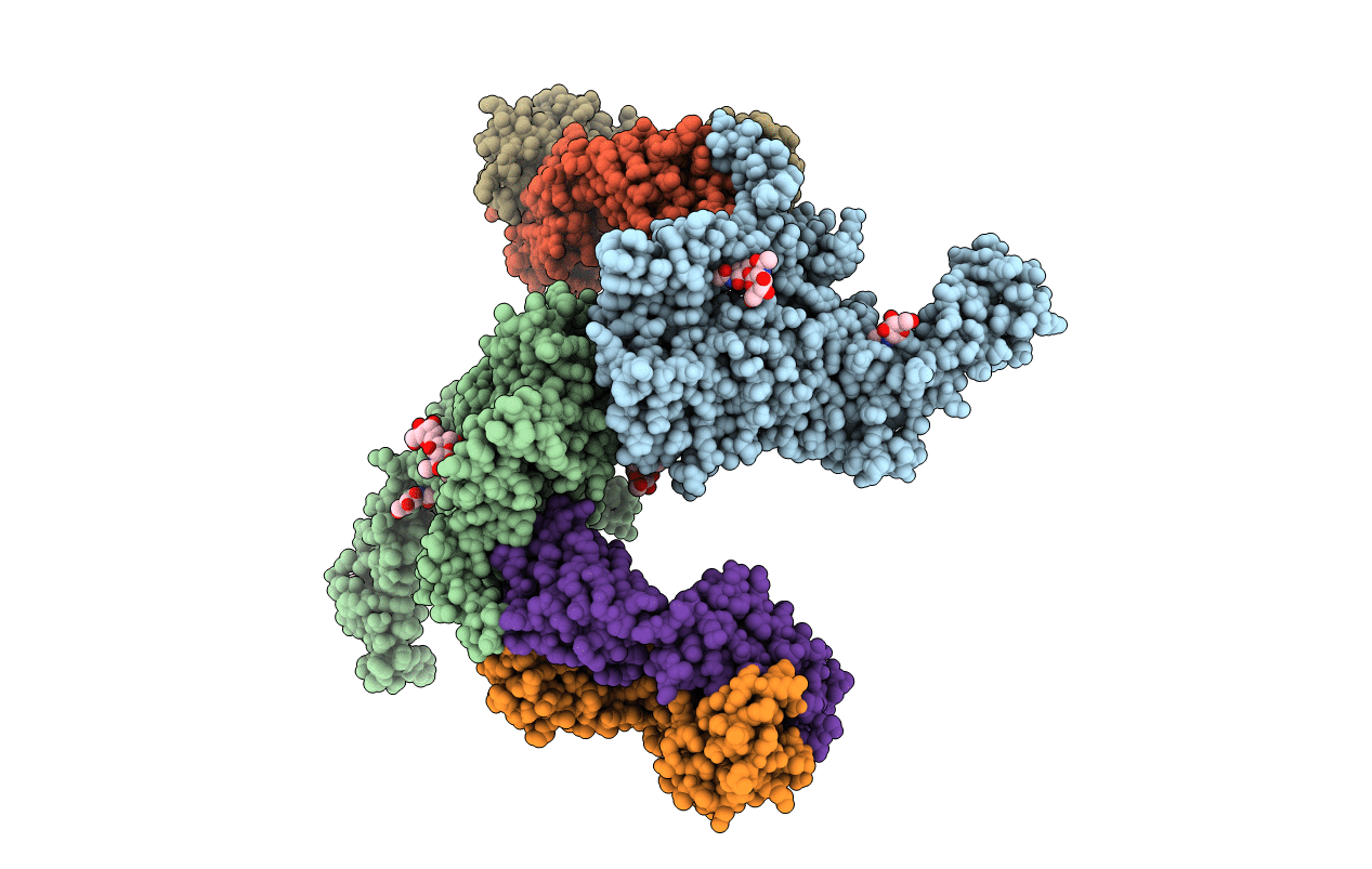 1S78 image