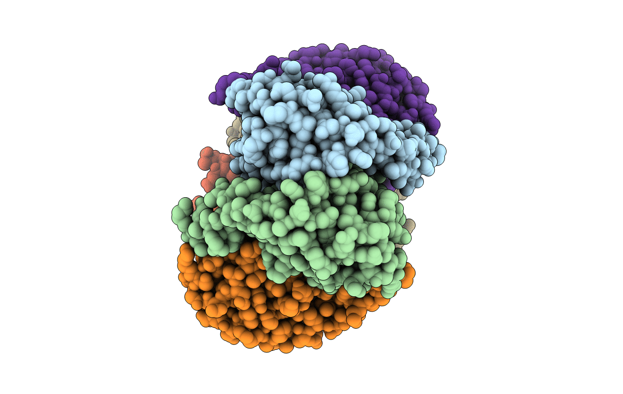 1S89 image