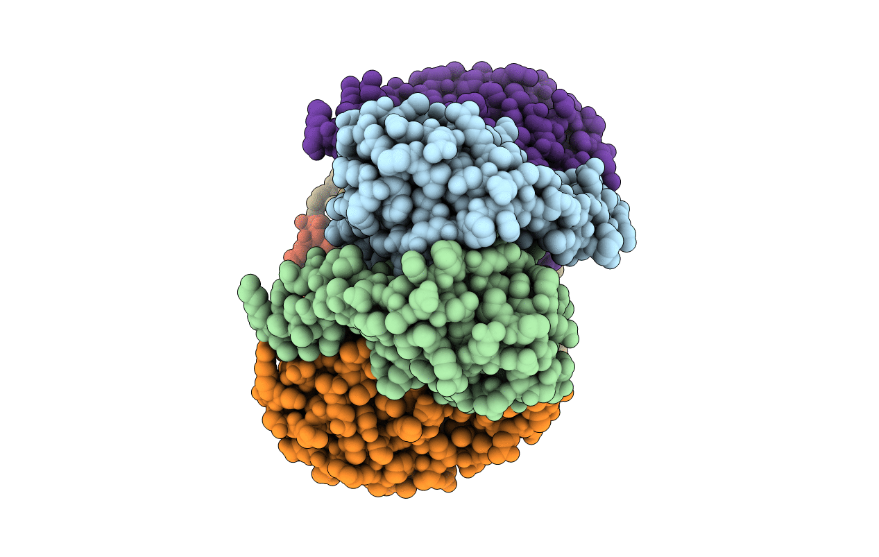 1S8A image