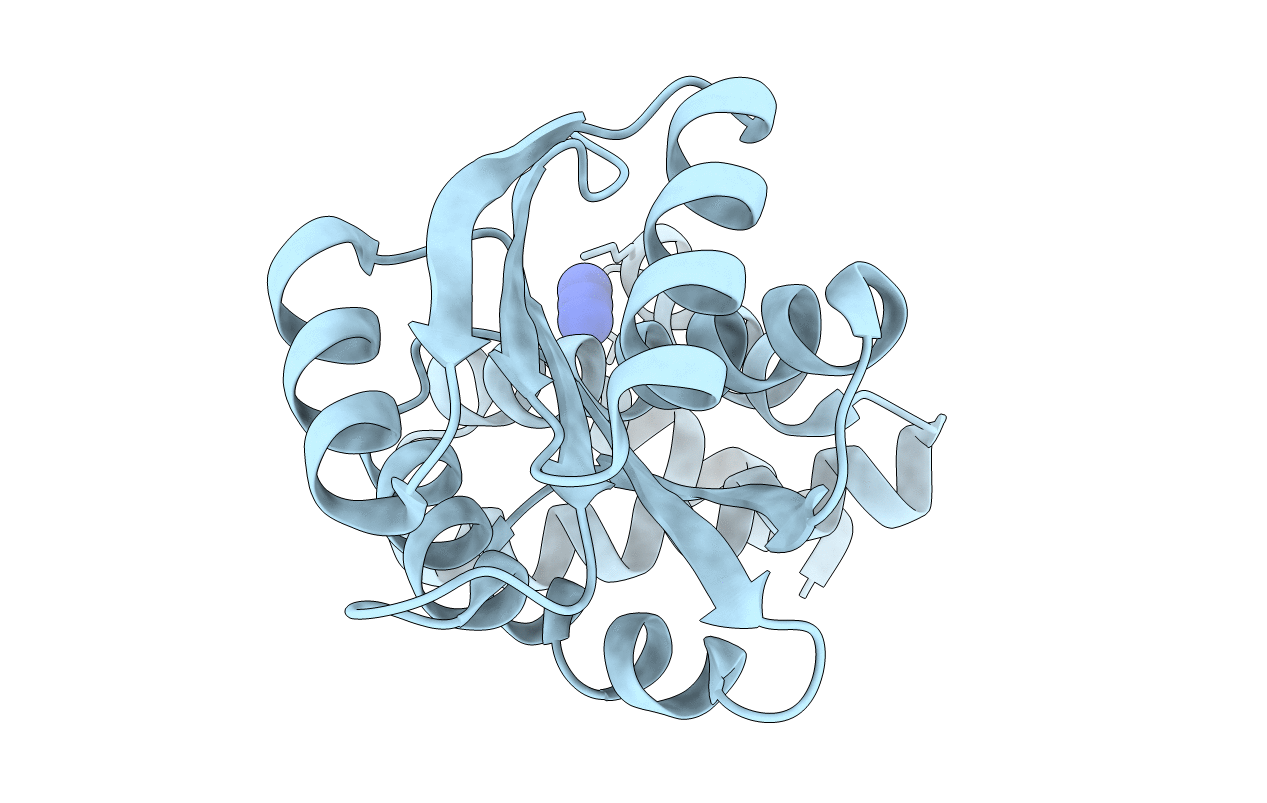 1S8N image
