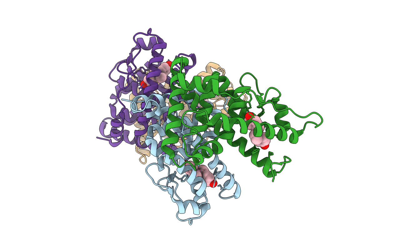 1S9P image