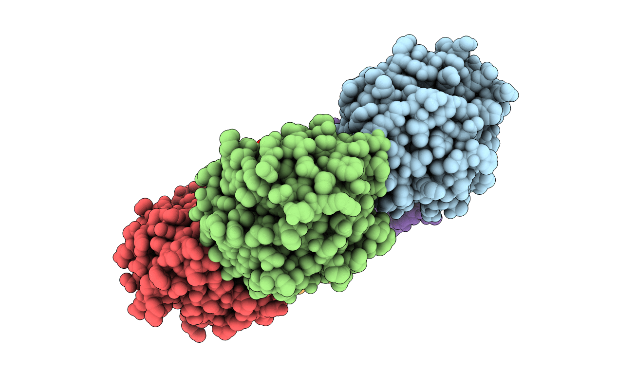 1sac image