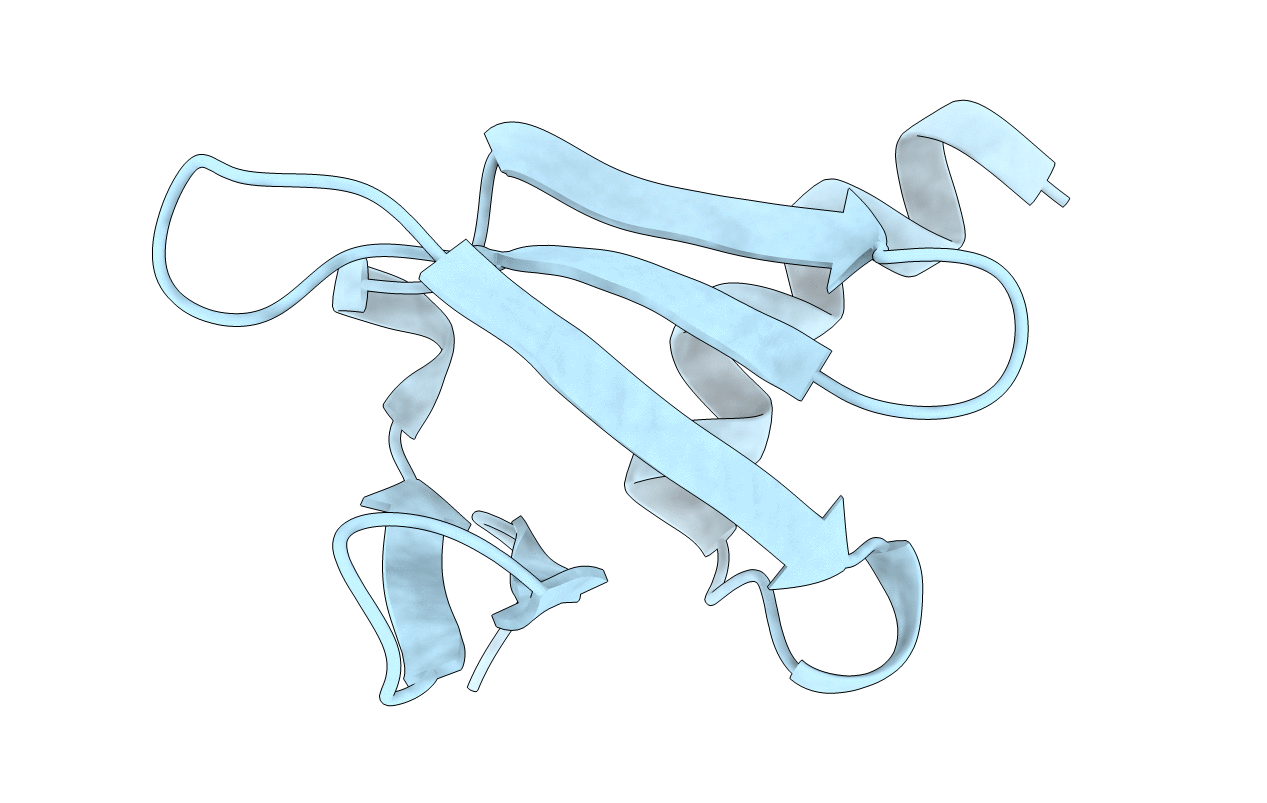 1sap image