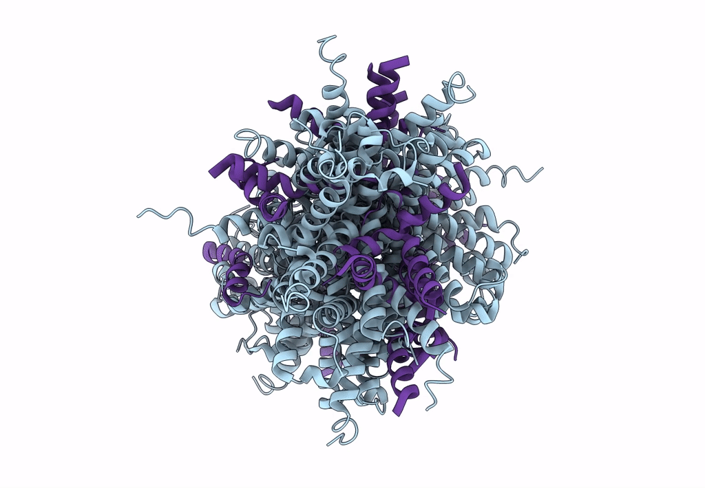 1sb0 image