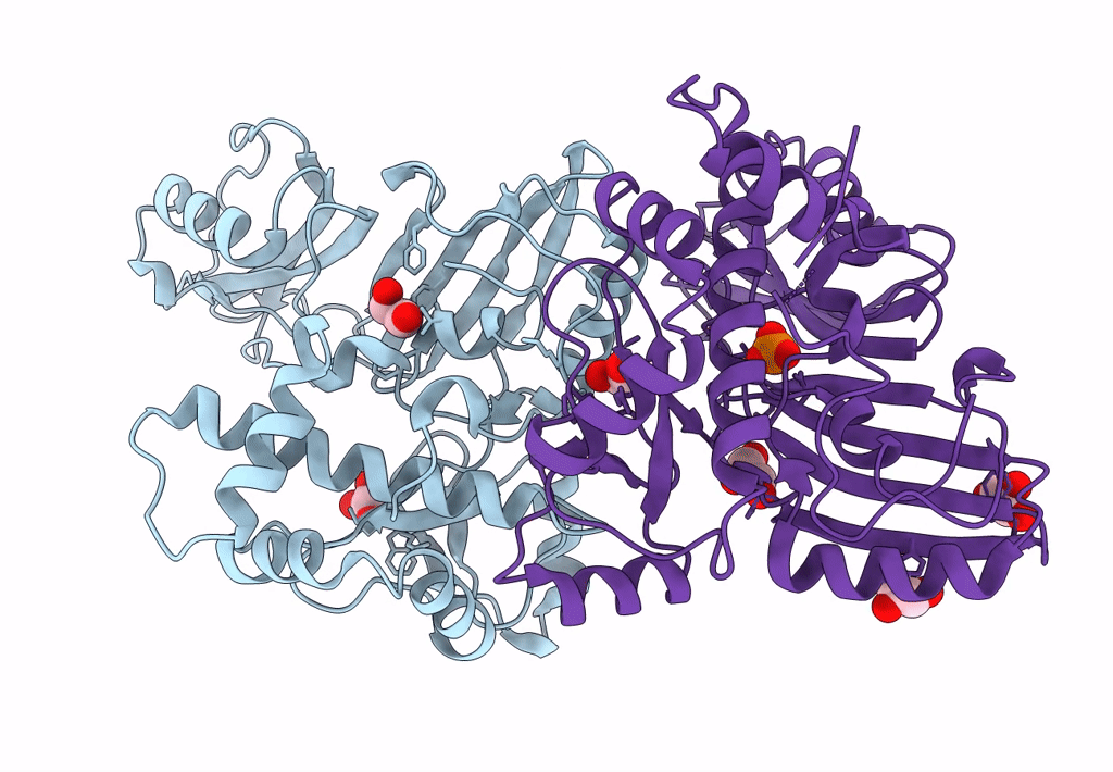 1SB7 image