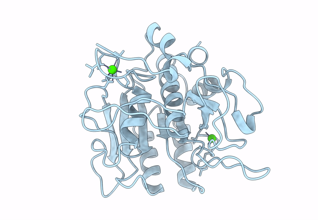 1SBH image