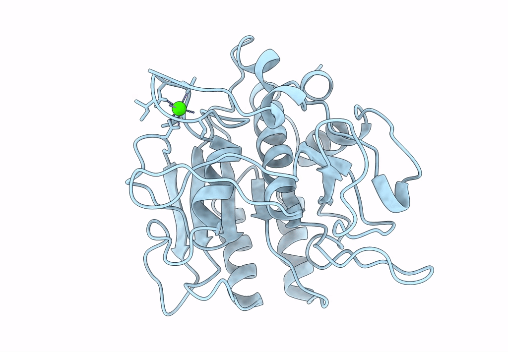 1SBI image