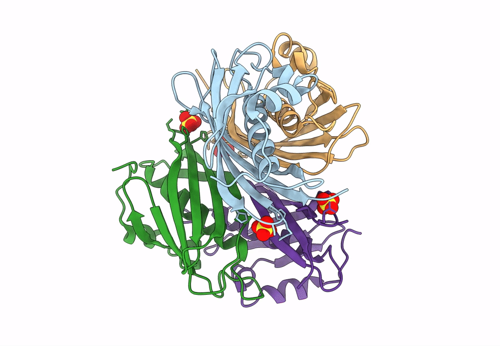1SBK image