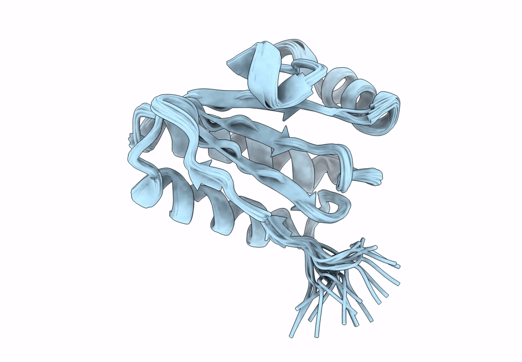 1SBO image