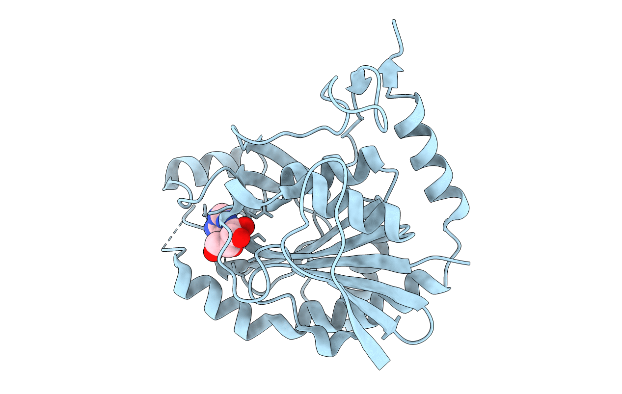 1SD1 image