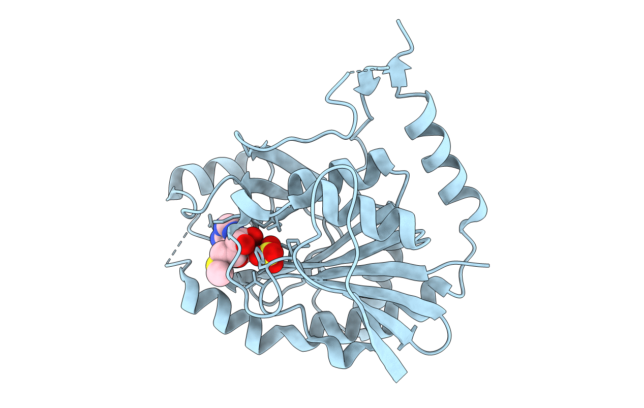 1SD2 image