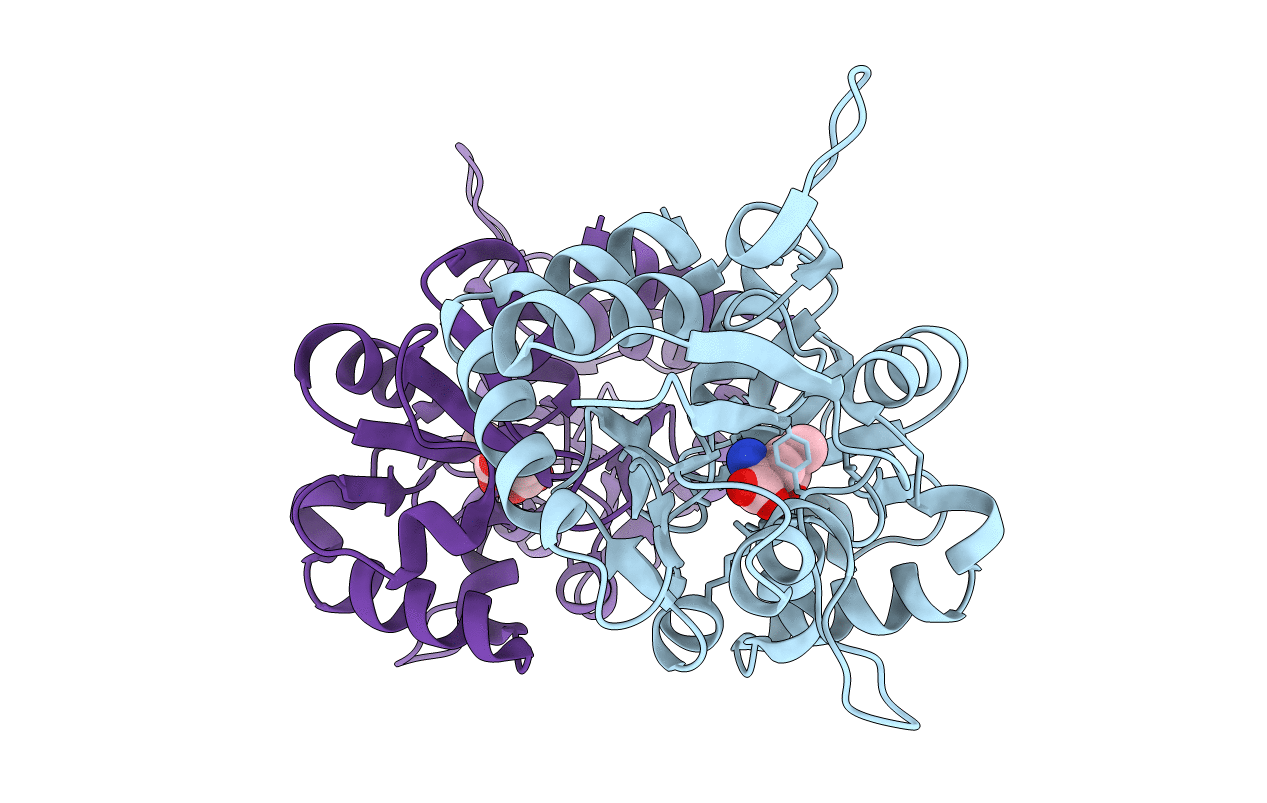 1SD3 image