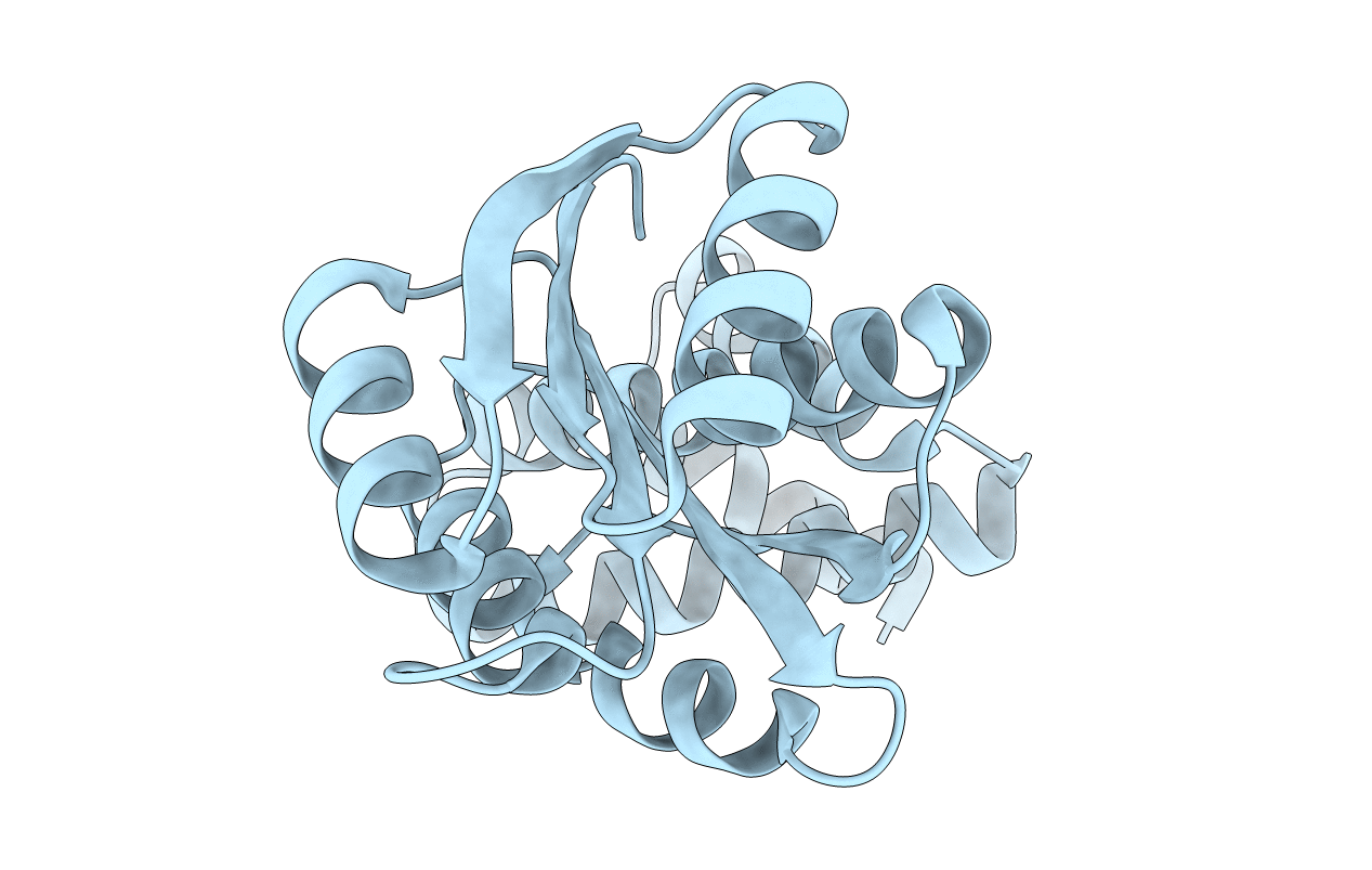 1SD5 image