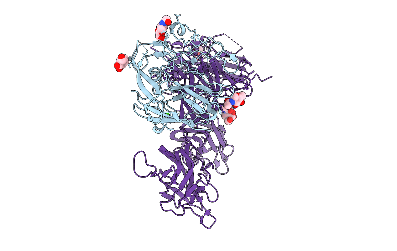 1SDD image