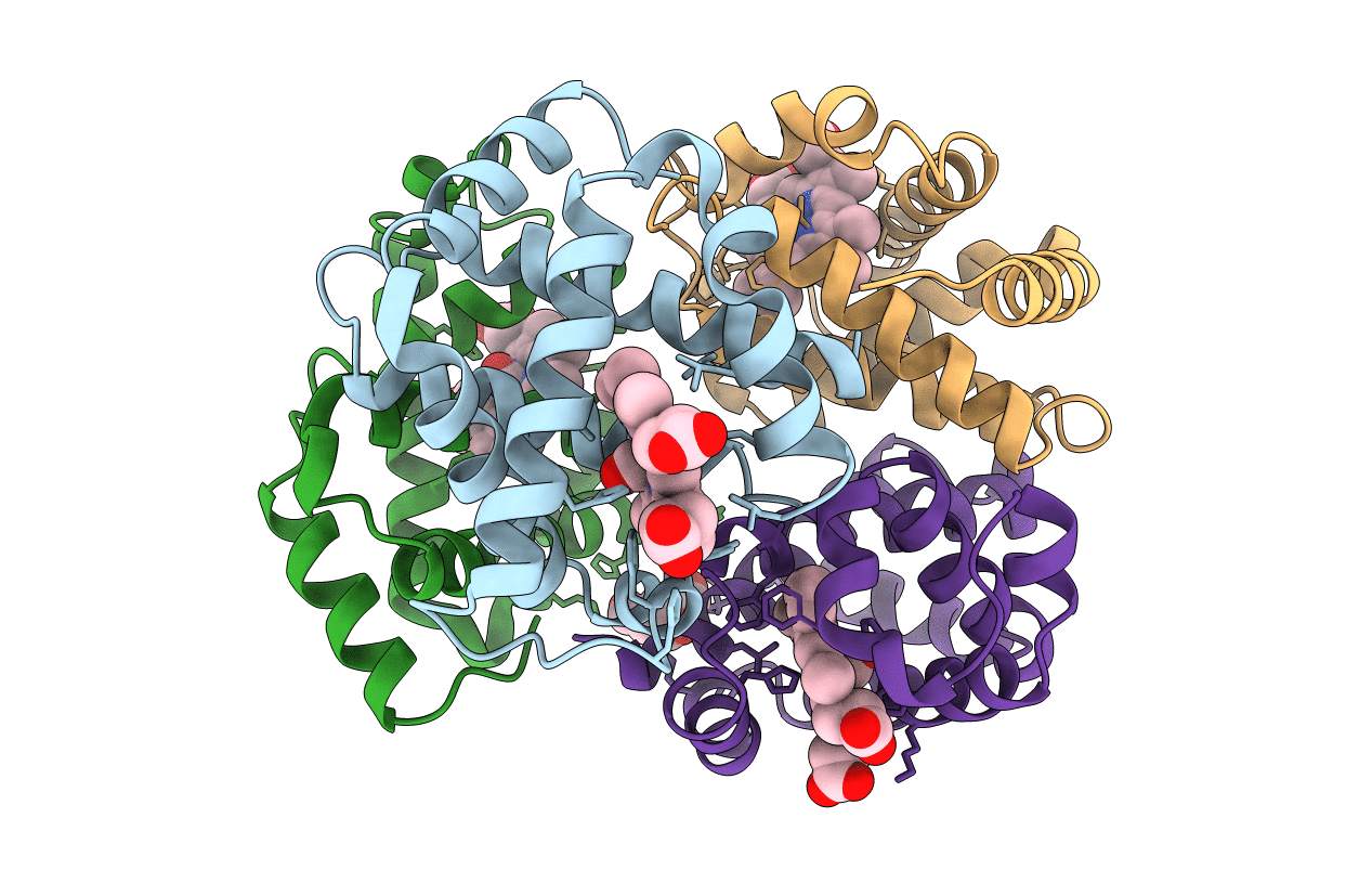 1SDK image