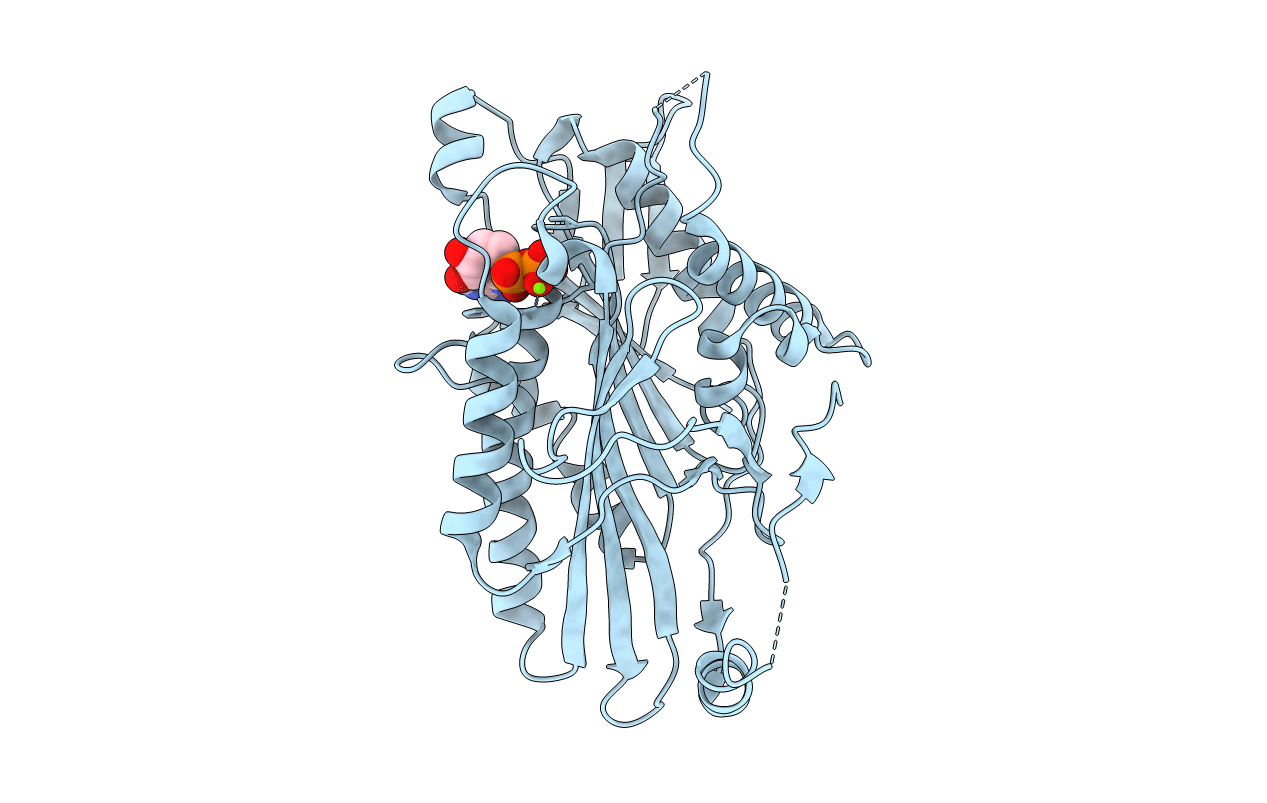 1SDM image