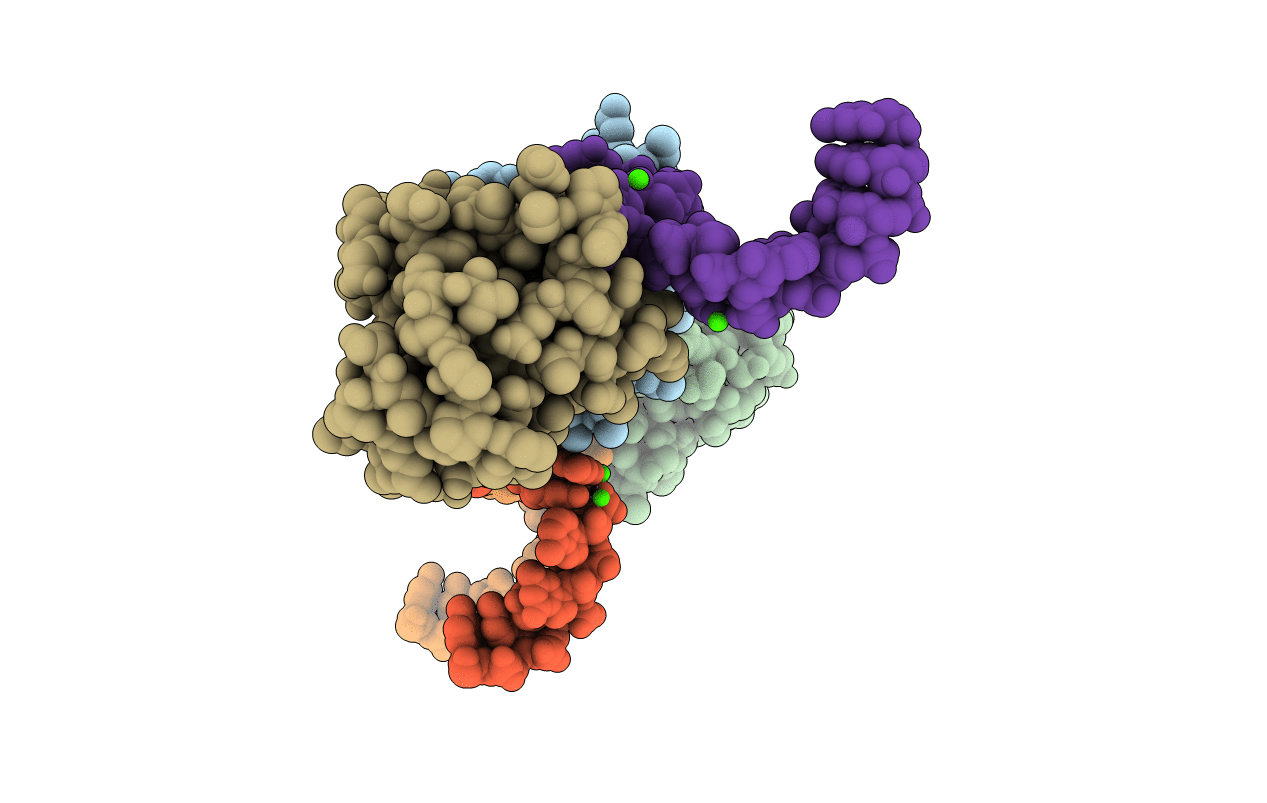 1SDS image