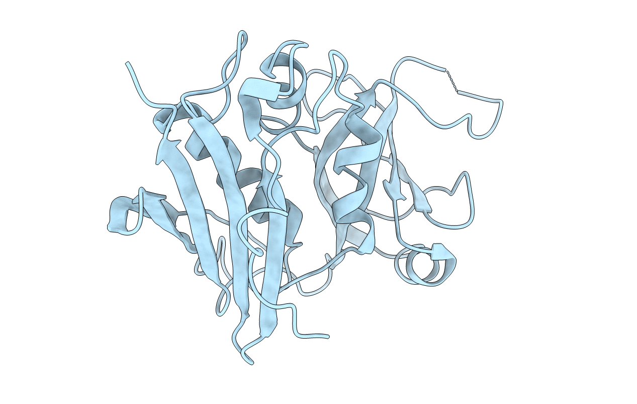 1SE2 image