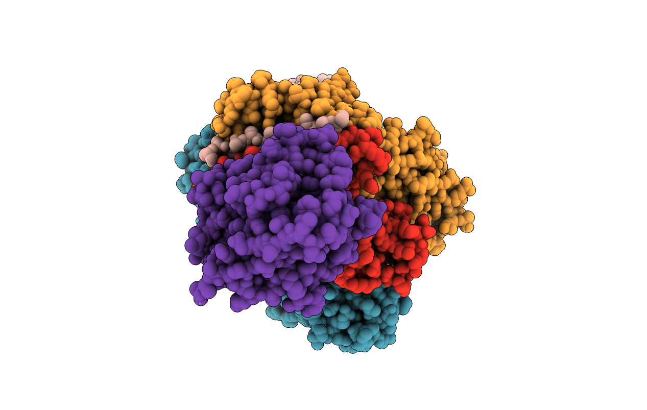 1SEB image