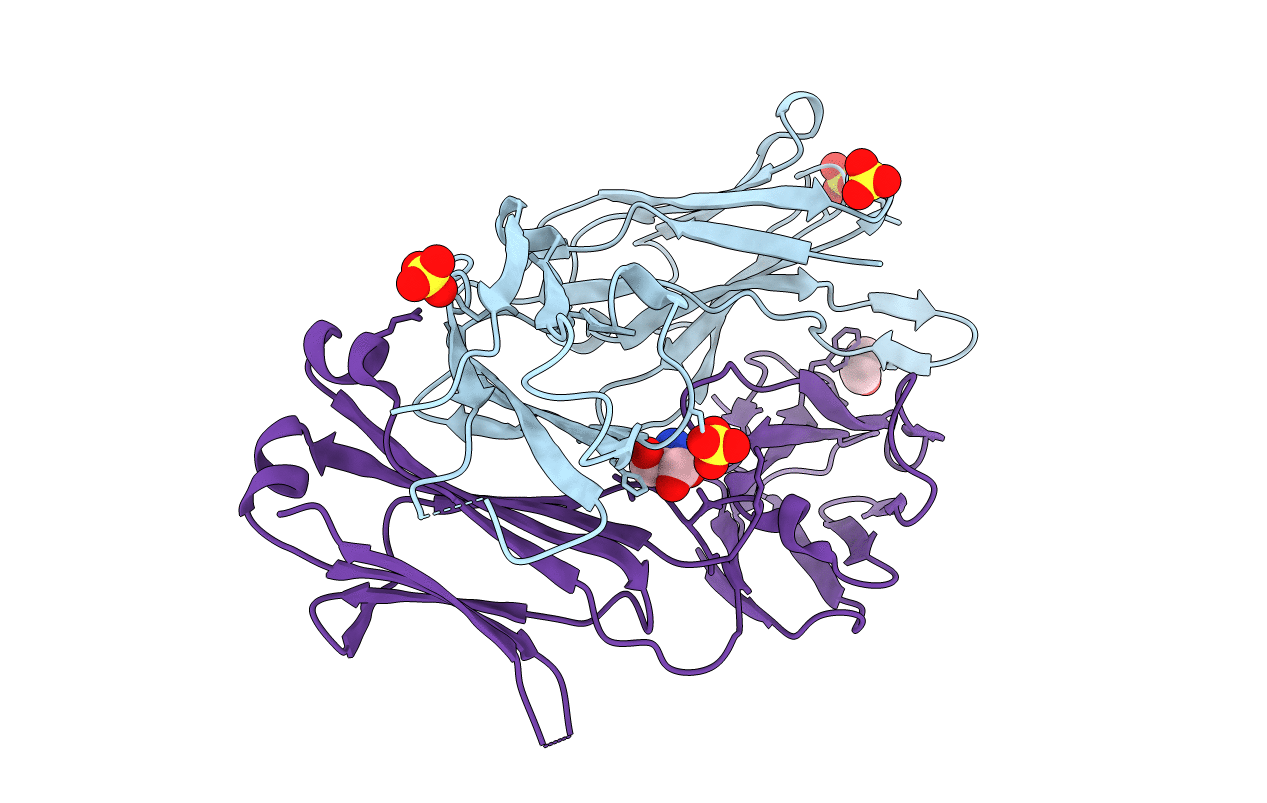 1SEQ image