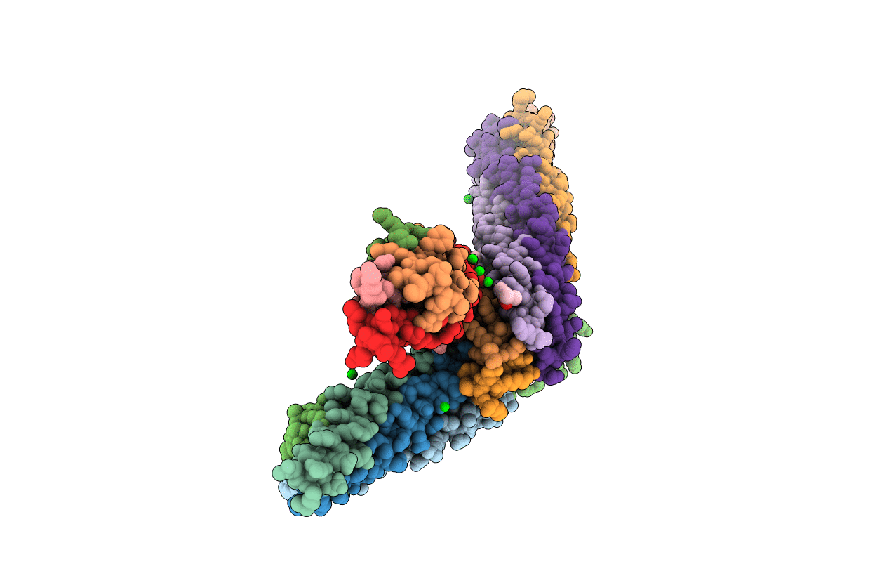 1SFC image