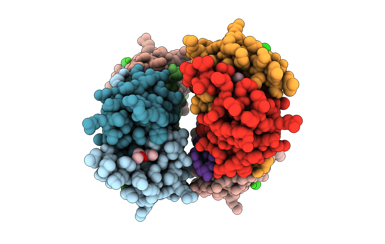 1SFK image