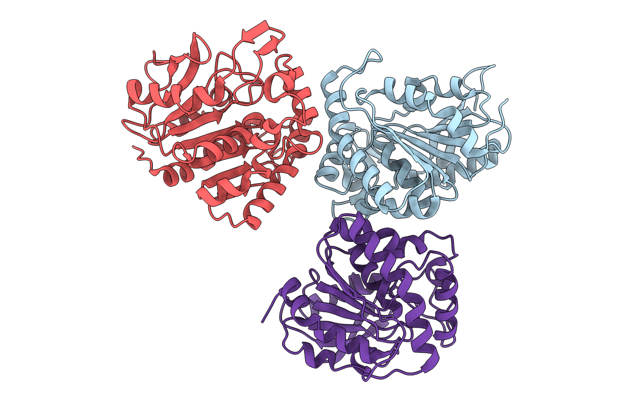 1SFR image