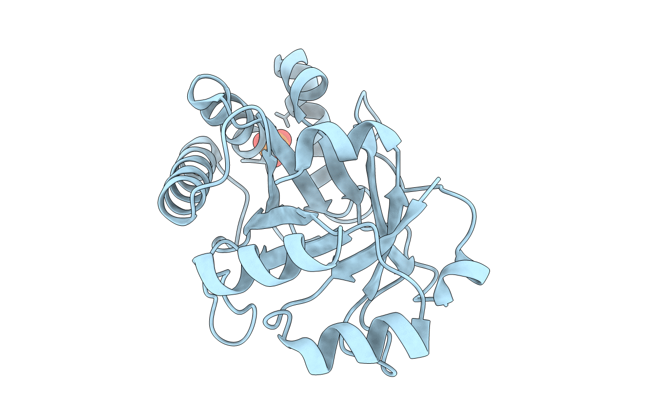 1SFS image