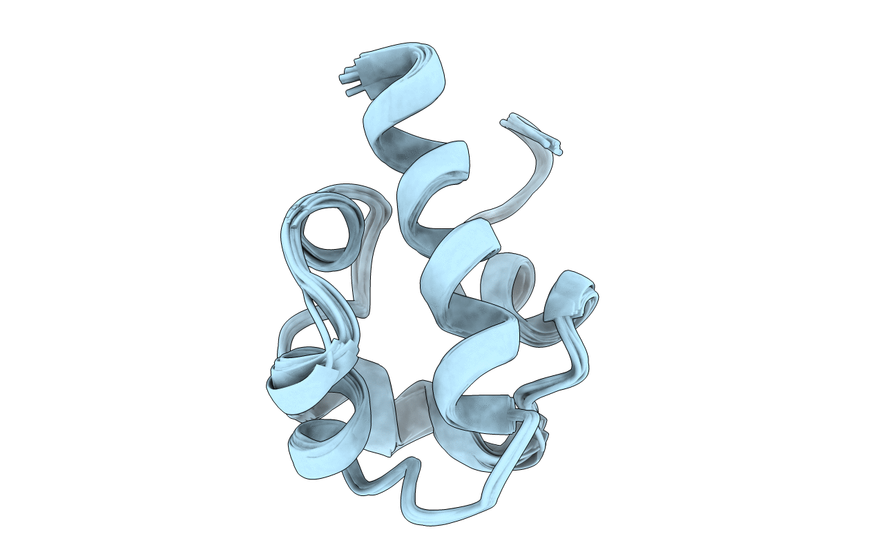 1SGG image