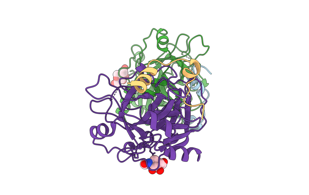 1SGI image
