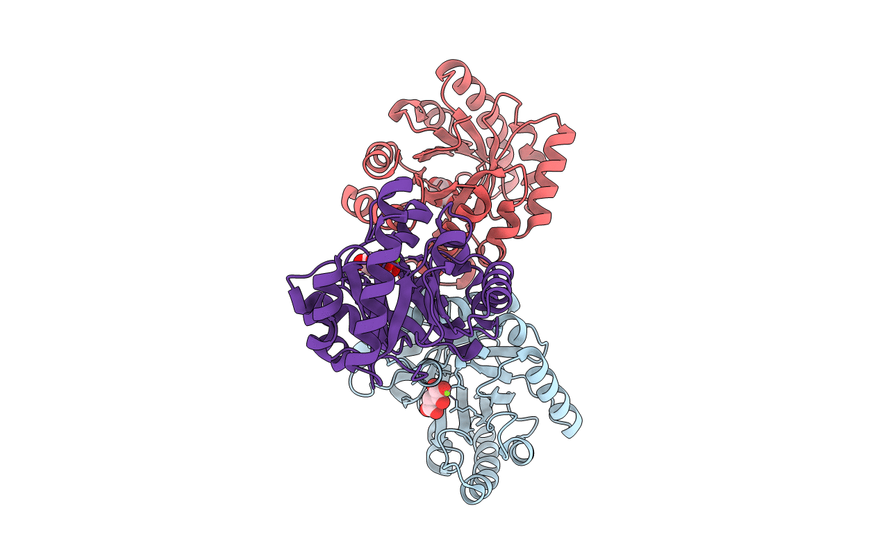 1SGJ image