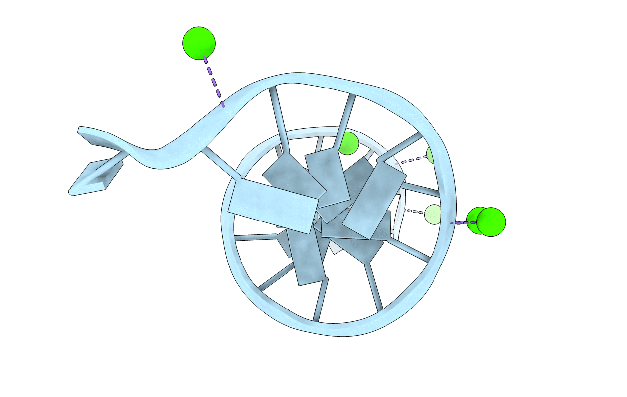1SGS image