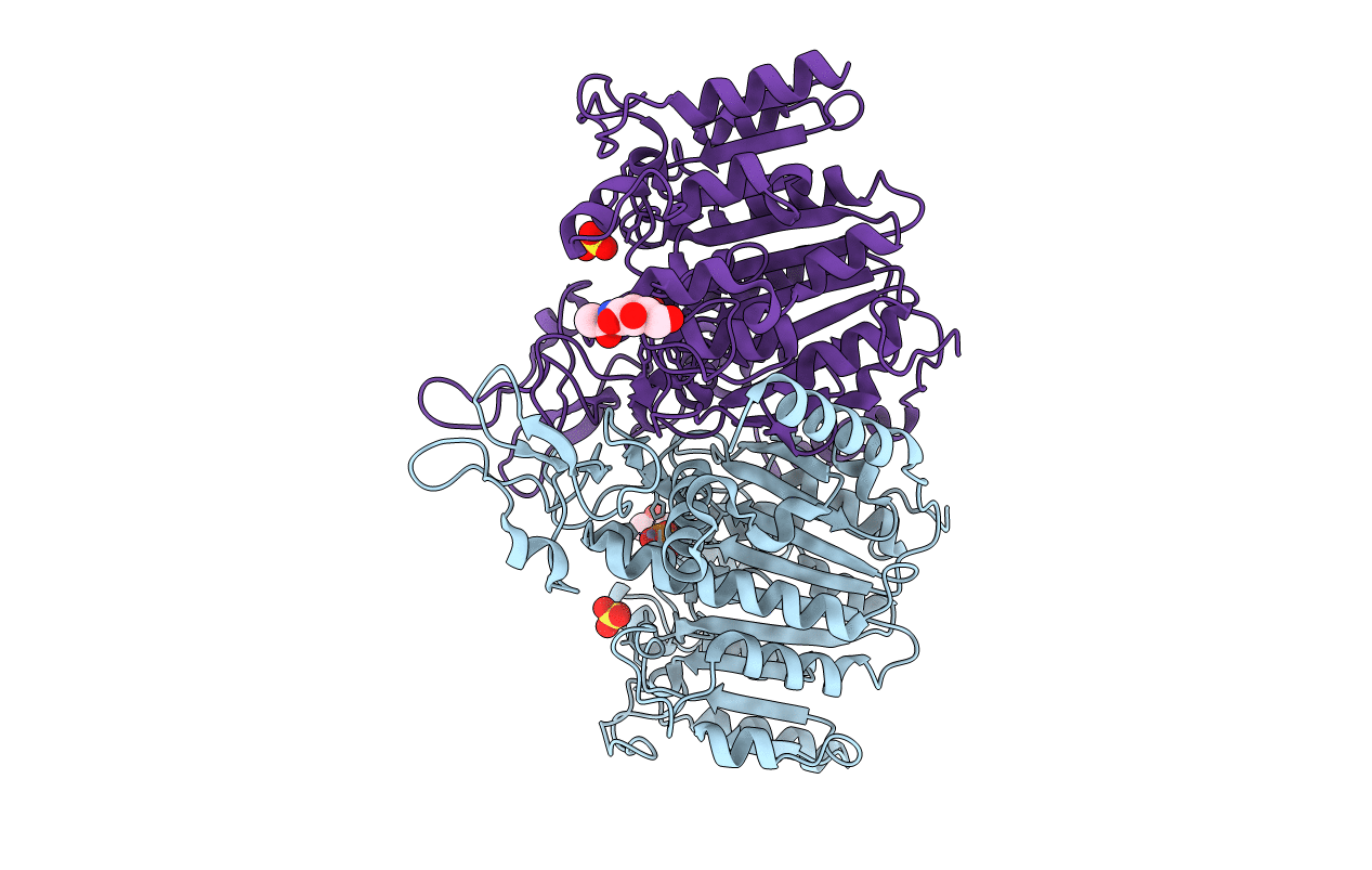 1SHN image