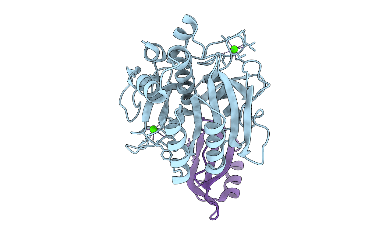 1SIB image