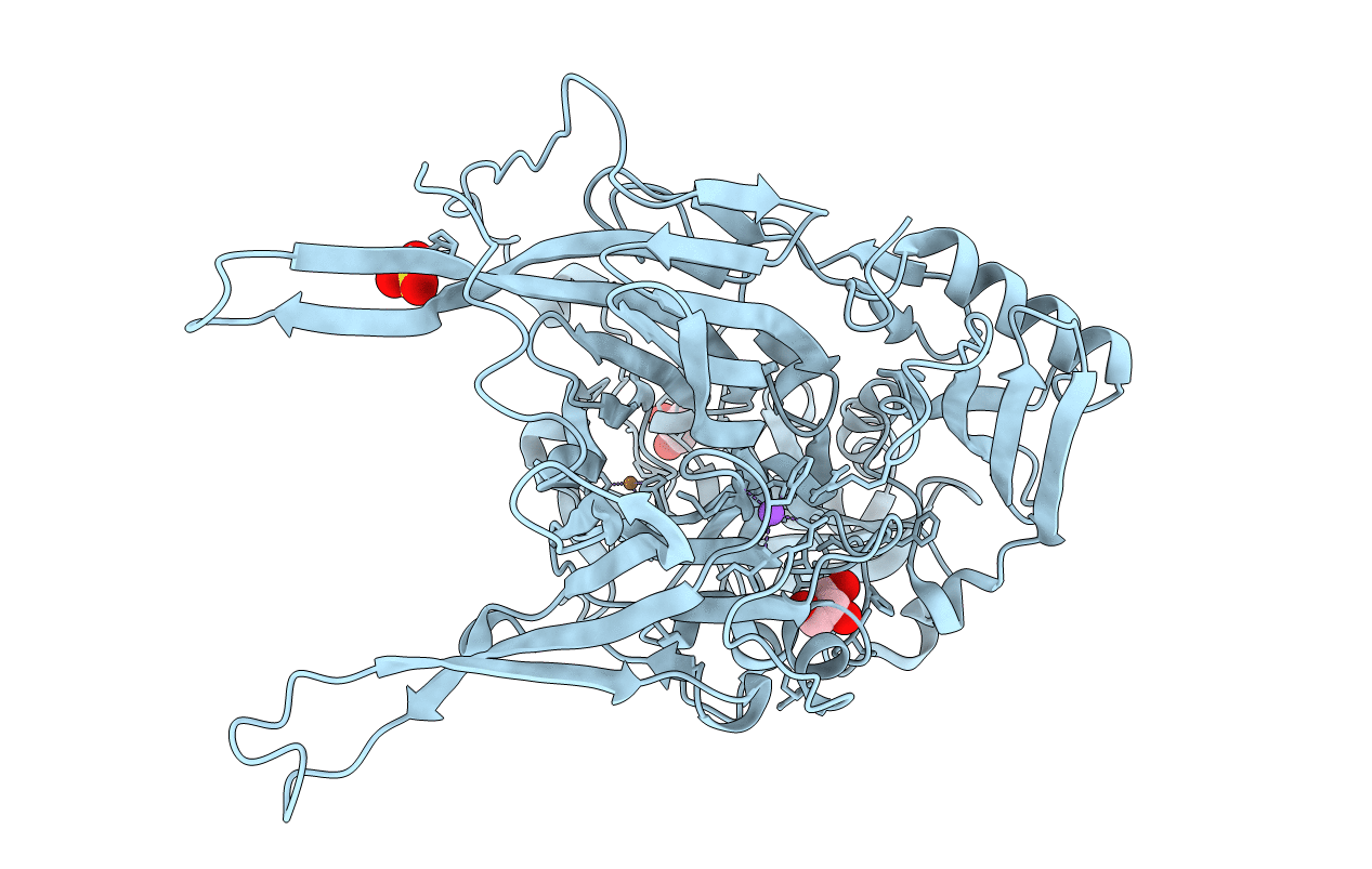1SII image