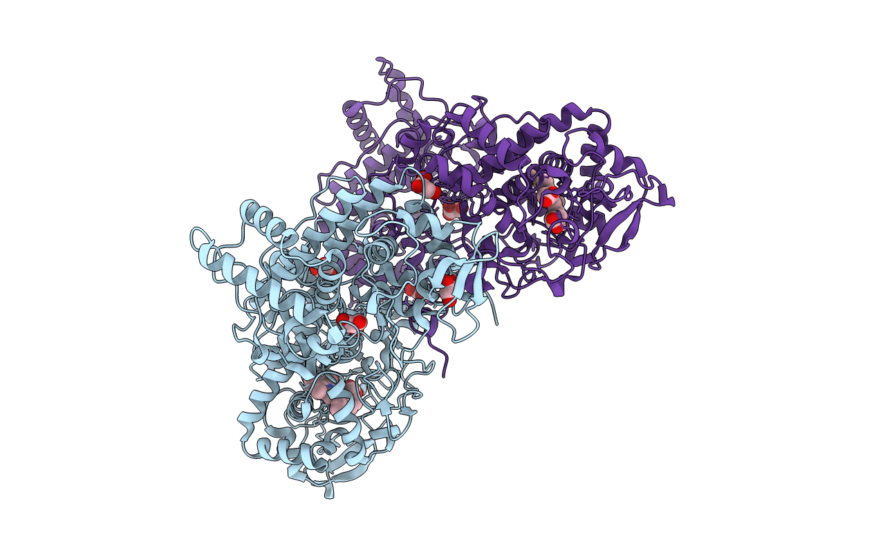 1SJ2 image