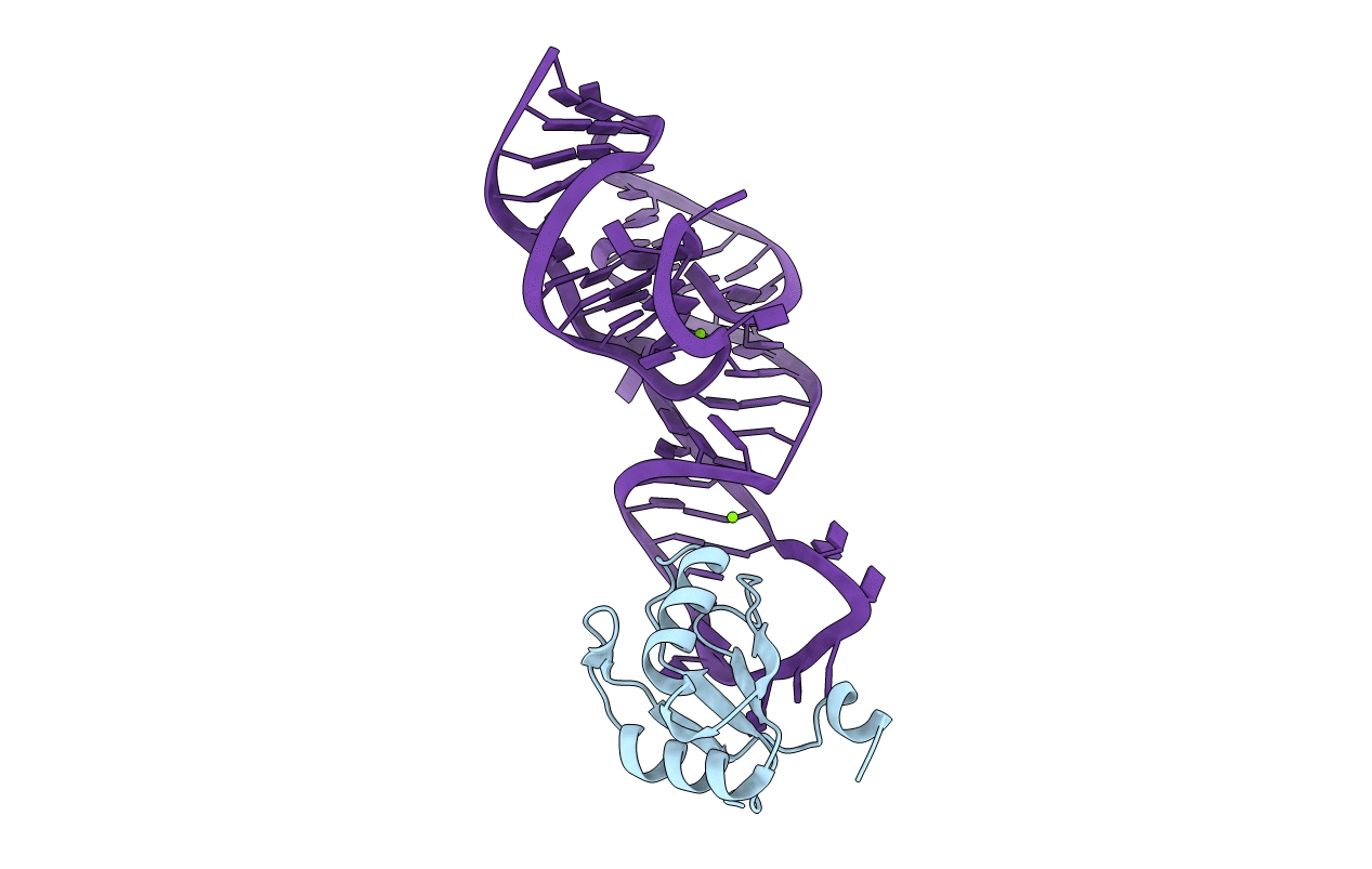 1SJ3 image