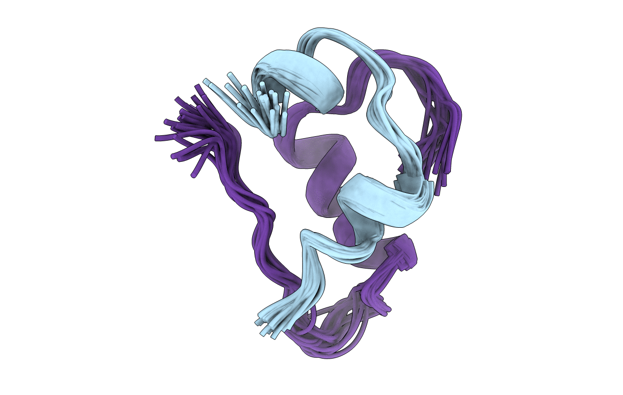 1SJT image