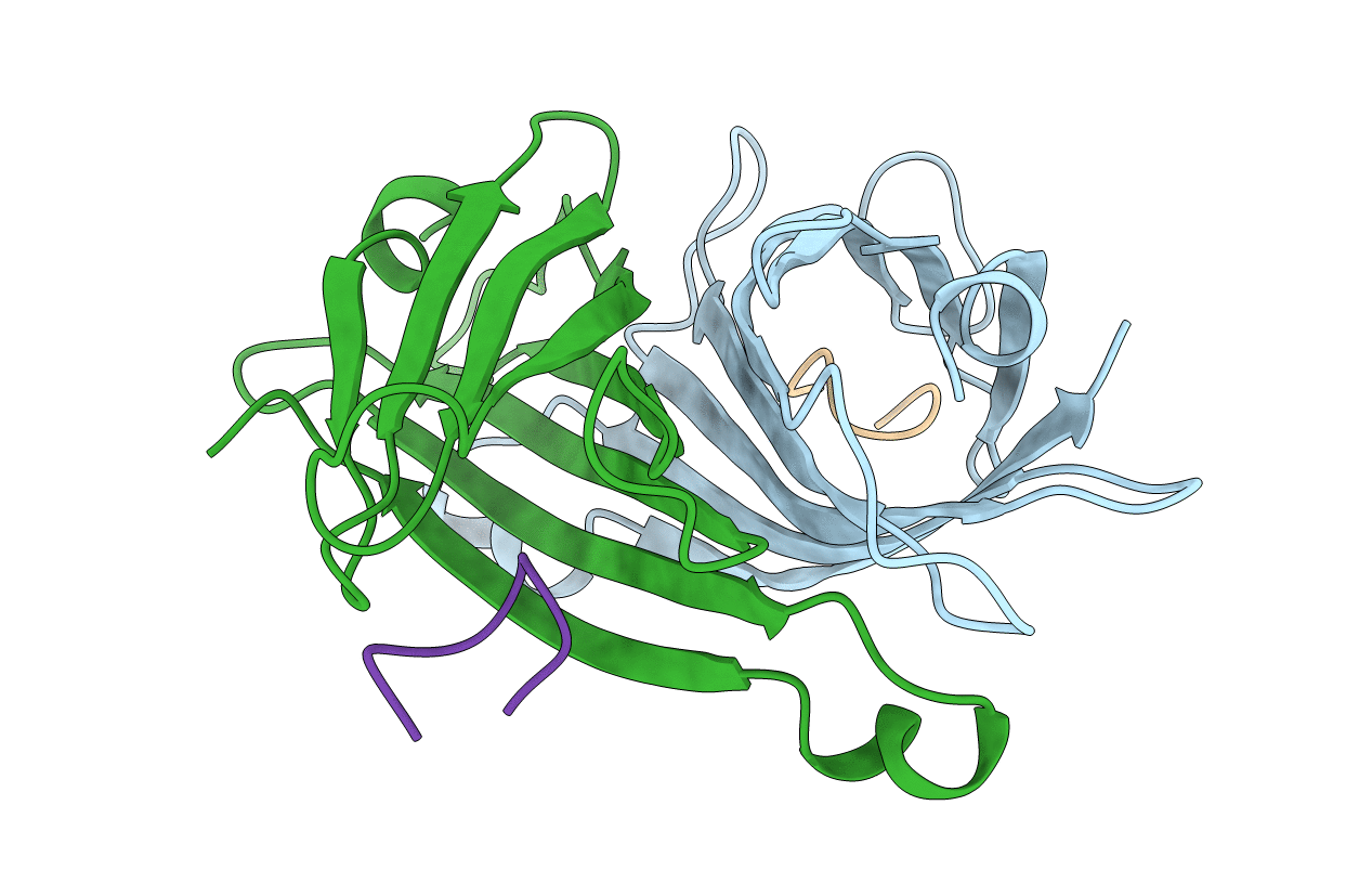 1SLE image