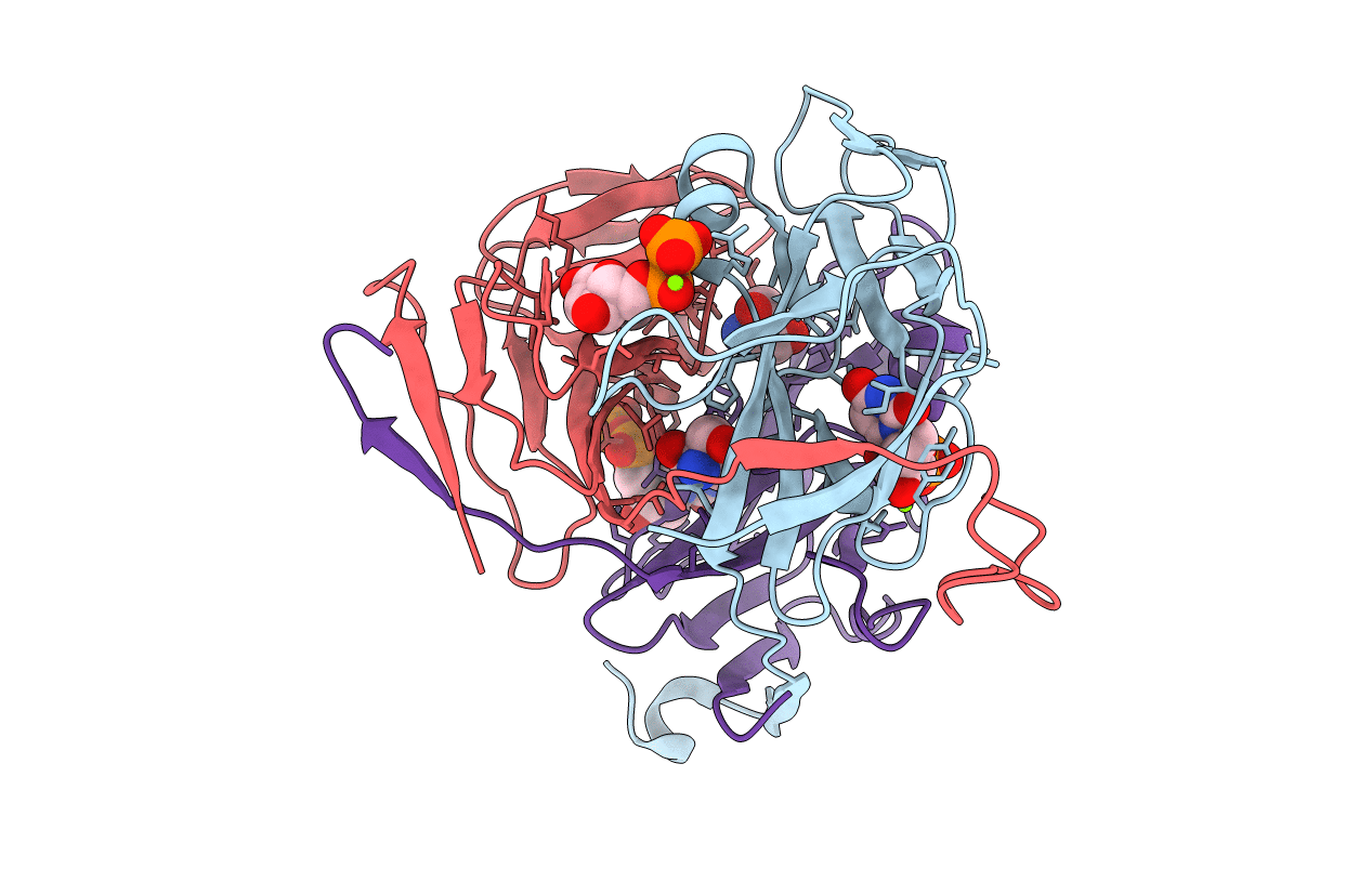 1SLH image