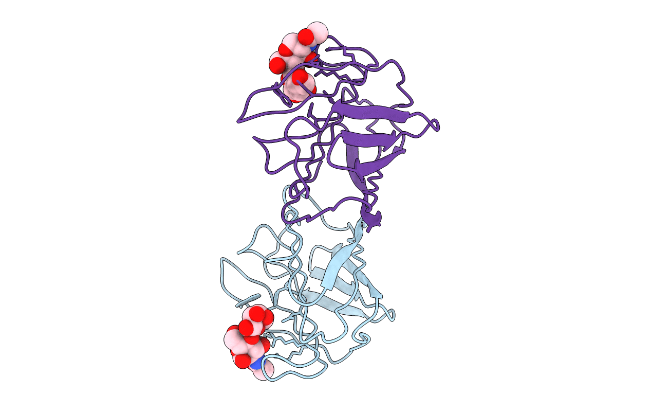 1SLT image