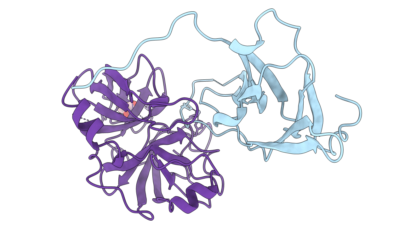 1slx image
