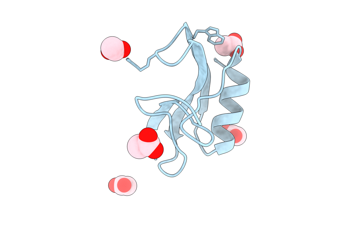 1SN4 image